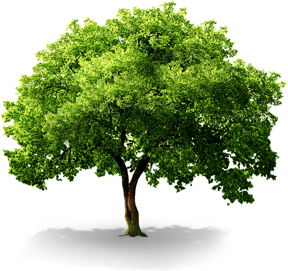 플래티늄 대전동부점