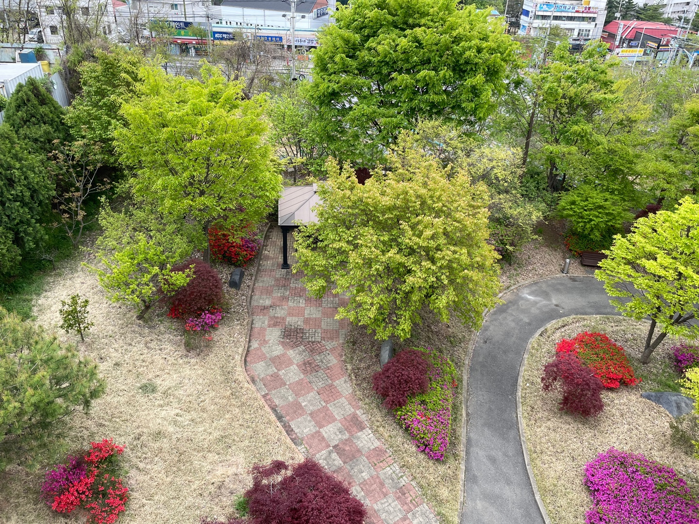 봄이 찾아와 꽃으로 가득한 플래티늄요양원