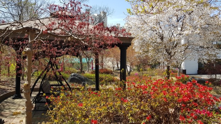 산책로의 봄풍경