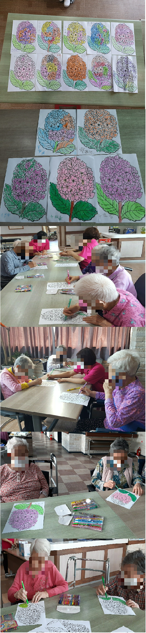 수국꽃 색칠하기