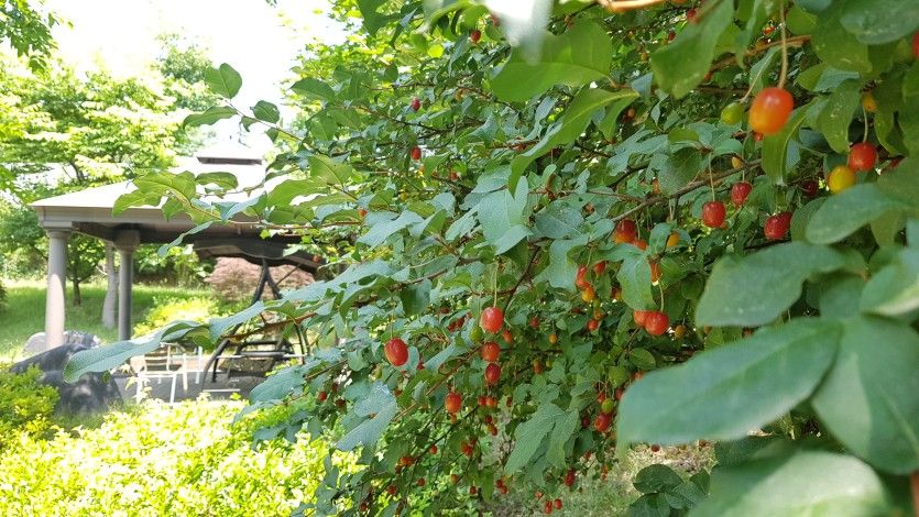 플래티늄 대전동부점 둘러보기