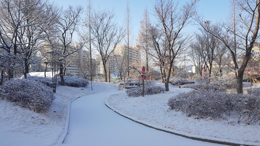 플래티늄 대전동부점 둘러보기